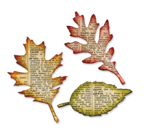 Fustella Sizzix Foglie Tim Holtz 656927