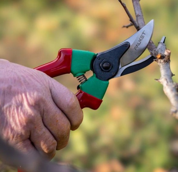 Forbici per potare Falket 22 cm