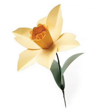 Fustella L Sizzix Narciso 665107