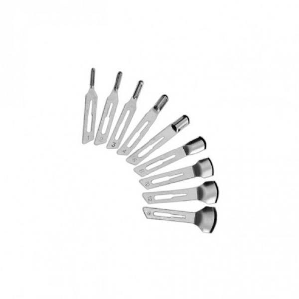 Lame per sgorbia intercambiabile